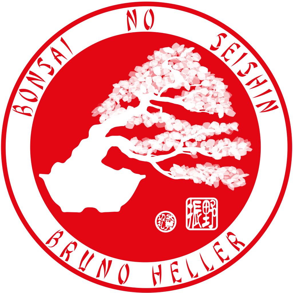 Ecole de l'art du Bonsai Bonsai Studio Bruno Heller