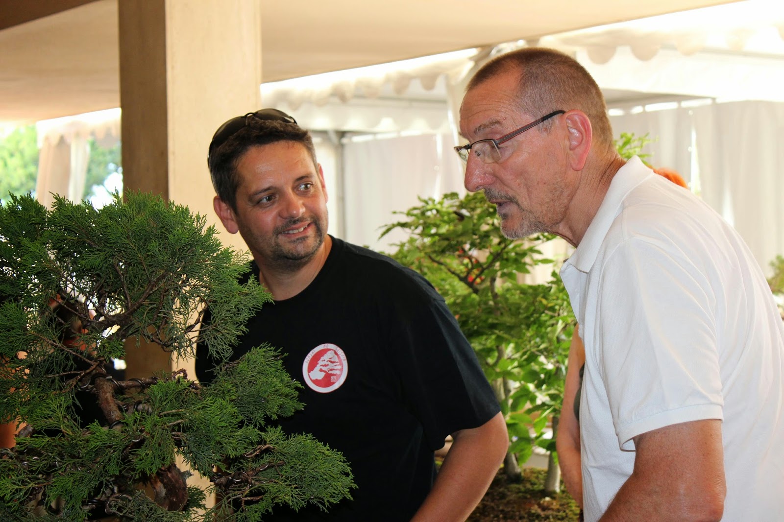 Ecole de l'art du Bonsai Bonsai Studio Bruno Heller
