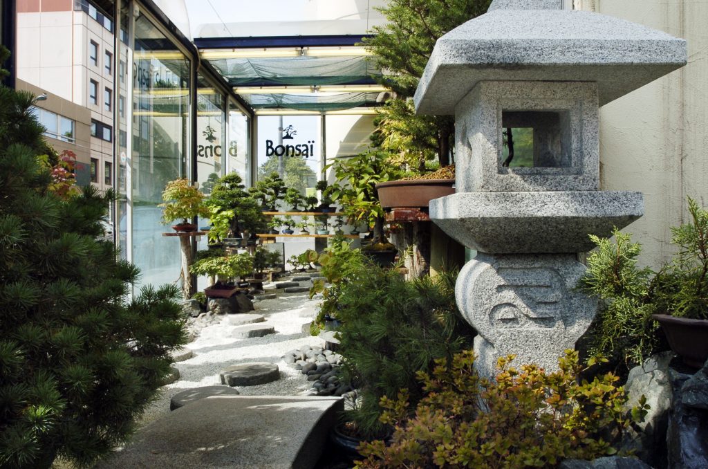 Contact Bonsai Studio Bruno Heller