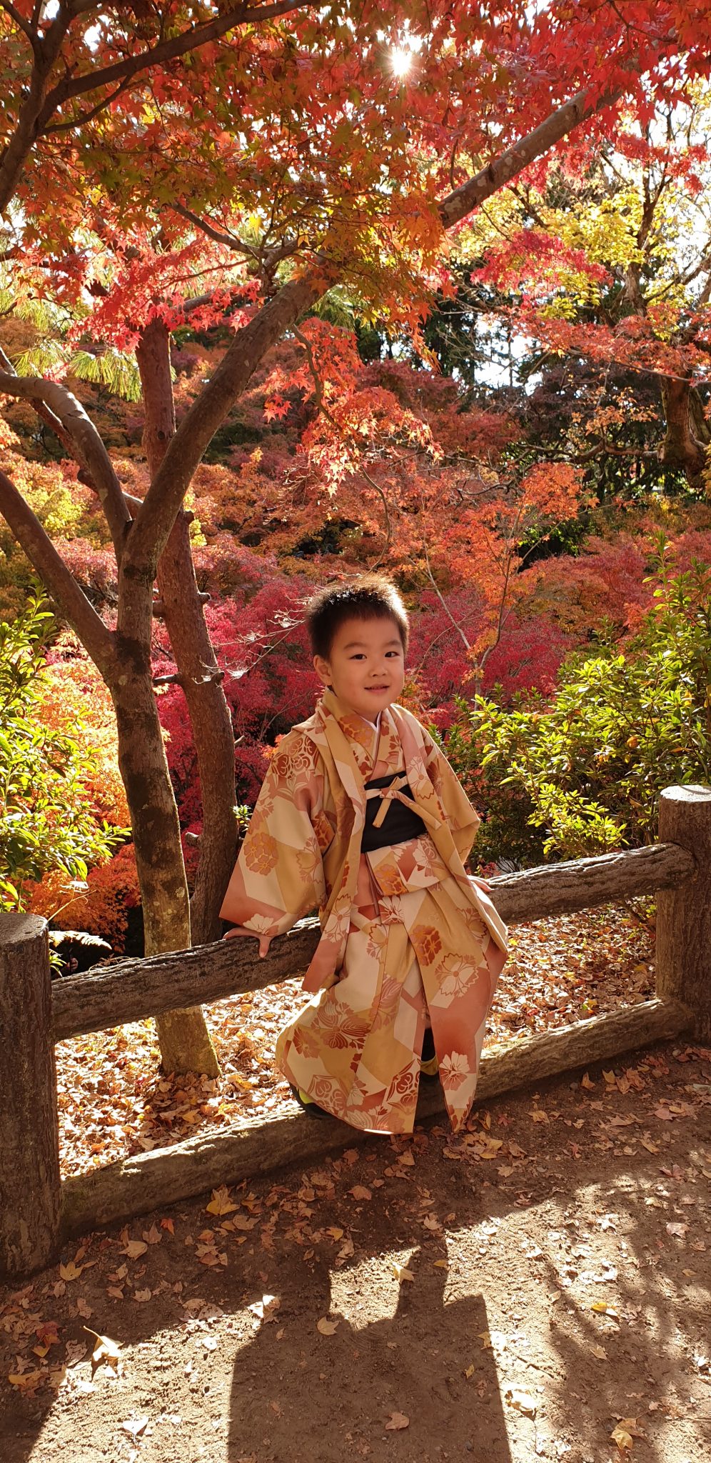Japan Bonsaï Tours Bonsai Studio Bruno Heller